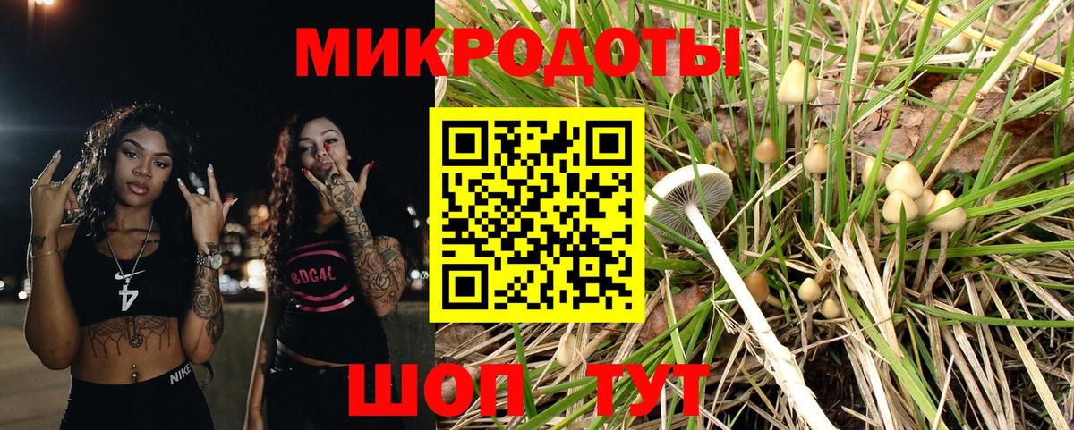 Псилоцибиновые грибы MAGIC MUSHROOMS  купить наркотики сайты  Петропавловск-Камчатский  Вход с VPN 