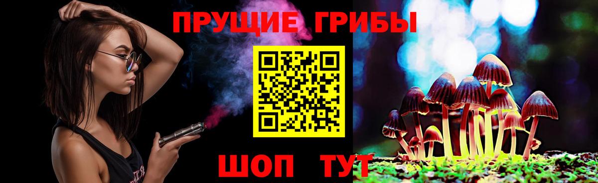 Галлюциногенные грибы прущие грибы Петропавловск-Камчатский